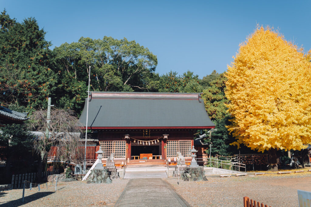 豊橋市　東田神明宮  七五三